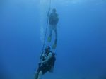 Hawaii Scuba divng 06