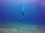 Hawaii Scuba divng 12