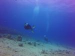 Hawaii Scuba divng 14