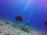 Hawaii Scuba divng 15