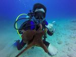Hawaii Scuba divng 18