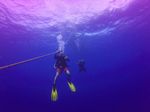 Hawaii Scuba divng 01