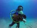 Hawaii Scuba divng 23