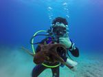 Hawaii Scuba divng 24