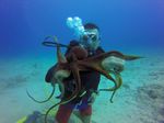 Hawaii Scuba divng 25