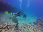 Hawaii Scuba divng 40