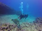 Hawaii Scuba divng 41