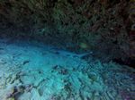 Hawaii Scuba divng 42