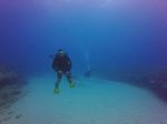 Hawaii Scuba divng 47