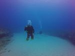 Hawaii Scuba divng 48