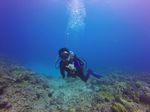 Hawaii Scuba divng 49