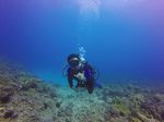 Hawaii Scuba divng 51