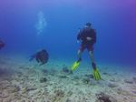 Hawaii Scuba divng 51