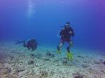 Hawaii Scuba divng 52