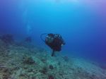 Hawaii Scuba divng 56