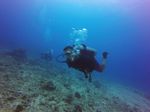 Hawaii Scuba divng 56