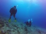 Hawaii Scuba divng 57