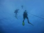 Hawaii Scuba divng 14