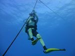 Hawaii Scuba divng 15