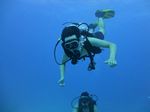 Hawaii Scuba divng 19