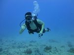 Hawaii Scuba divng 20