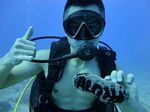 Hawaii Scuba divng 22