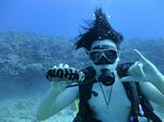 Hawaii Scuba divng 24