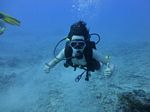 Hawaii Scuba divng 25