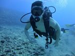 Hawaii Scuba divng 29