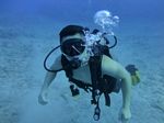 Hawaii Scuba divng 31