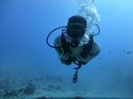 Hawaii Scuba divng 33