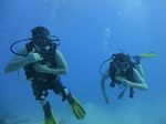 Hawaii Scuba divng 38