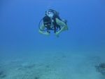 Hawaii Scuba divng 40