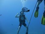 Hawaii Scuba divng 42