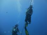 Hawaii Scuba divng 43