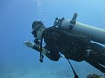 Hawaii Scuba divng 56