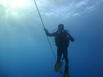 Hawaii Scuba divng 74