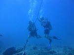 Hawaii Scuba divng 11