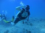 Hawaii Scuba divng 12