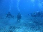 Hawaii Scuba divng 15