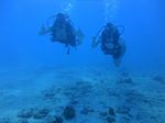 Hawaii Scuba divng 16