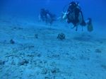 Hawaii Scuba divng 17