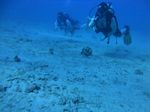 Hawaii Scuba divng 17