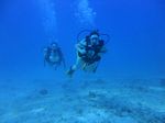 Hawaii Scuba divng 18