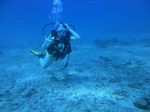 Hawaii Scuba divng 19