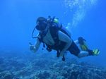 Hawaii Scuba divng 22