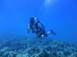 Hawaii Scuba divng 23