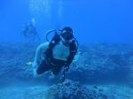 Hawaii Scuba divng 24