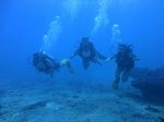 Hawaii Scuba divng 25