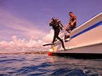 Hawaii Scuba divng 30